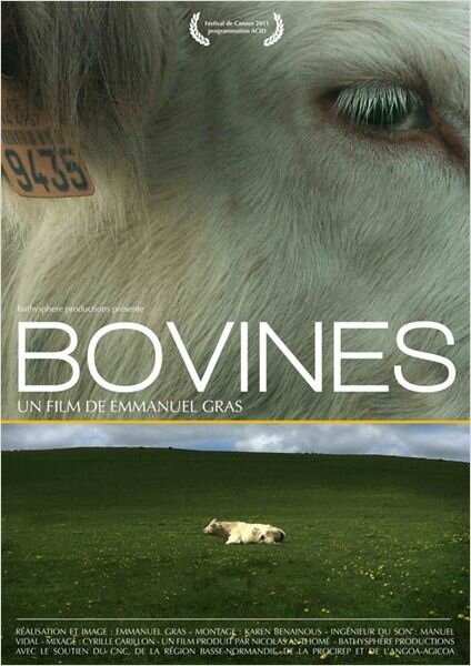 Коровы (2011) постер