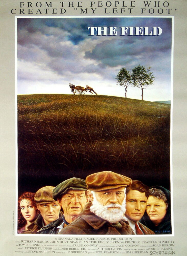 Поле (1990) постер