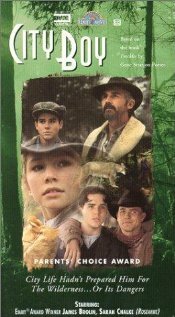 Городской (1992) постер