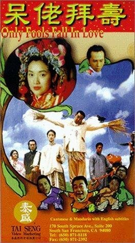 Влюбляются только дураки (1995) постер