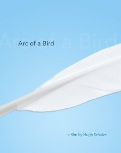 Arc of a Bird (2008) постер