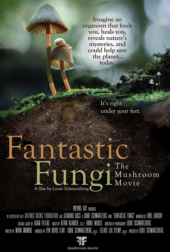 Фантастические грибы (2019) постер