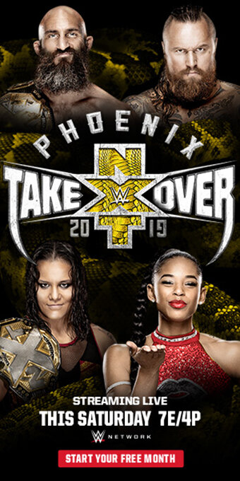 NXT Переворот: Феникс (2019) постер